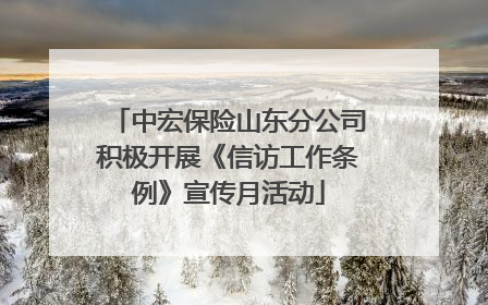 中宏保险山东分公司积极开展《信访工作条例》宣传月活动