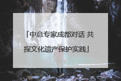 中意专家成都对话 共探文化遗产保护实践