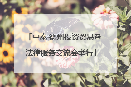 中泰·德州投资贸易暨法律服务交流会举行