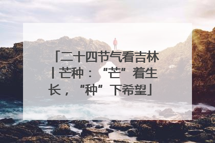 二十四节气看吉林丨芒种：“芒”着生长，“种”下希望