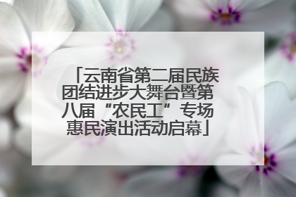 云南省第二届民族团结进步大舞台暨第八届“农民工”专场惠民演出活动启幕