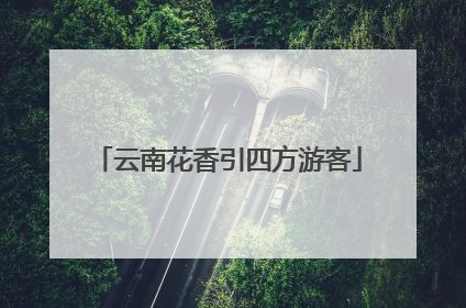 云南花香引四方游客