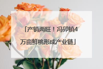 产销两旺！冯卯镇4万亩鲜桃形成产业链