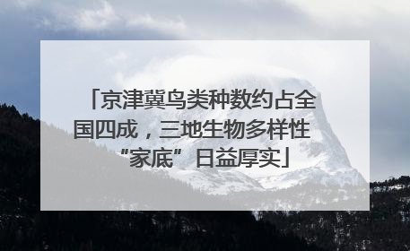 京津冀鸟类种数约占全国四成，三地生物多样性“家底”日益厚实