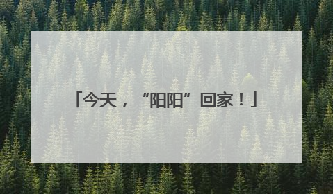今天，“阳阳”回家！