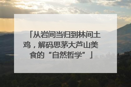 从岩间当归到林间土鸡，解码思茅大芦山美食的“自然哲学”
