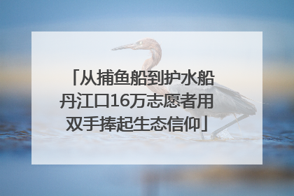 从捕鱼船到护水船 丹江口16万志愿者用双手捧起生态信仰