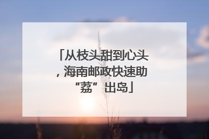 从枝头甜到心头，海南邮政快速助“荔”出岛