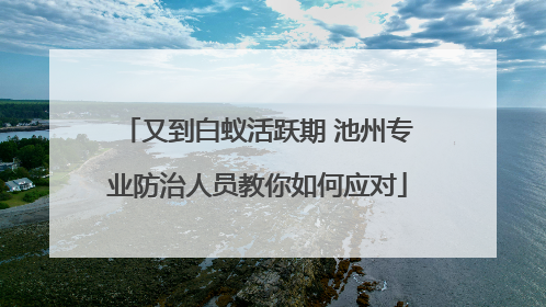 又到白蚁活跃期 池州专业防治人员教你如何应对