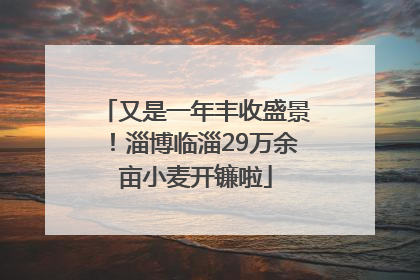 又是一年丰收盛景！淄博临淄29万余亩小麦开镰啦