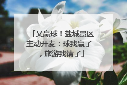 又赢球！盐城景区主动开麦：球我赢了，旅游我请了