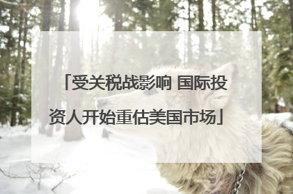 受关税战影响 国际投资人开始重估美国市场