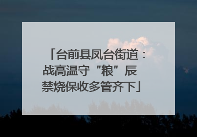 台前县凤台街道：战高温守“粮”辰 禁烧保收多管齐下