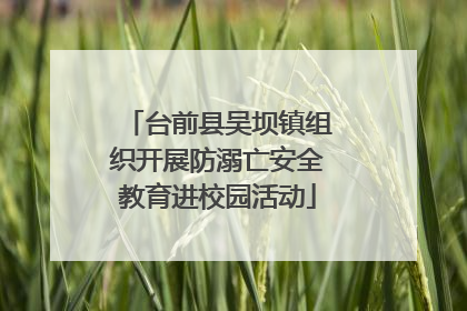 台前县吴坝镇组织开展防溺亡安全教育进校园活动