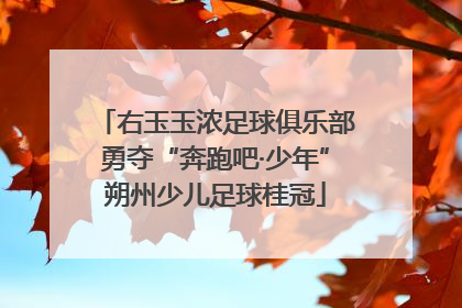右玉玉浓足球俱乐部勇夺“奔跑吧·少年”朔州少儿足球桂冠