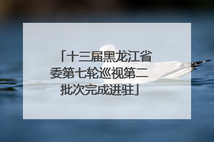 十三届黑龙江省委第七轮巡视第二批次完成进驻