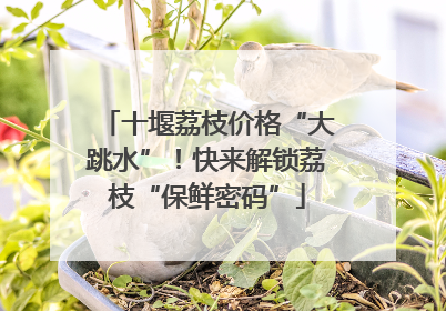 十堰荔枝价格“大跳水”！快来解锁荔枝“保鲜密码”