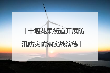 十堰花果街道开展防汛防灾防溺实战演练