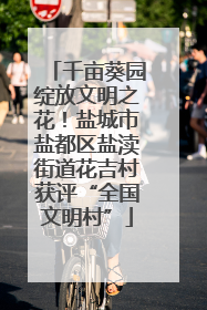 千亩葵园绽放文明之花！盐城市盐都区盐渎街道花吉村获评“全国文明村”