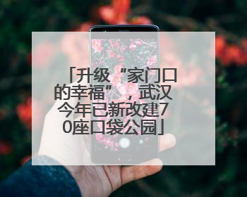 升级“家门口的幸福”，武汉今年已新改建70座口袋公园