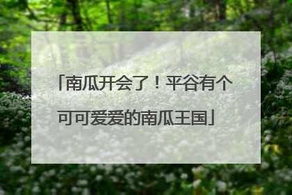 南瓜开会了！平谷有个可可爱爱的南瓜王国