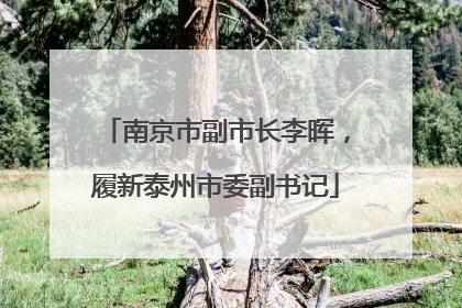 南京市副市长李晖，履新泰州市委副书记
