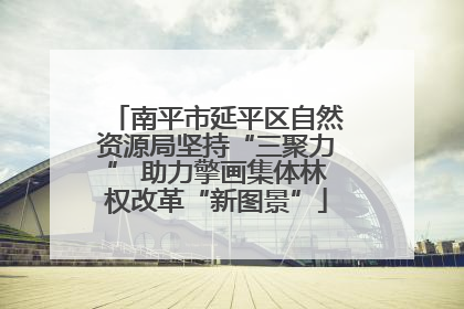 南平市延平区自然资源局坚持“三聚力” 助力擎画集体林权改革“新图景”