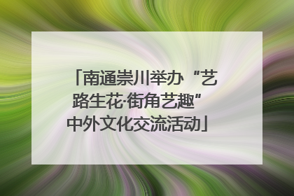 南通崇川举办“艺路生花·街角艺趣”中外文化交流活动