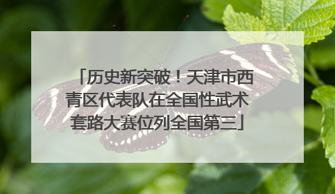 历史新突破！天津市西青区代表队在全国性武术套路大赛位列全国第三