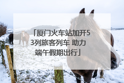 厦门火车站加开53列旅客列车 助力端午假期出行