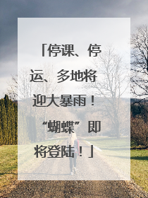 停课、停运、多地将迎大暴雨！“蝴蝶”即将登陆！