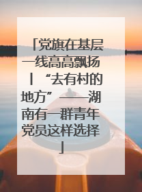 党旗在基层一线高高飘扬丨“去有村的地方”——湖南有一群青年党员这样选择