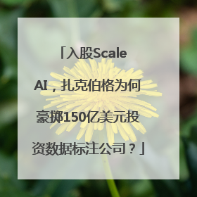 入股Scale AI，扎克伯格为何豪掷150亿美元投资数据标注公司？