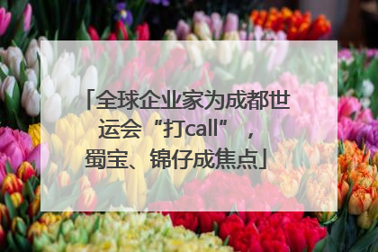 全球企业家为成都世运会“打call”，蜀宝、锦仔成焦点