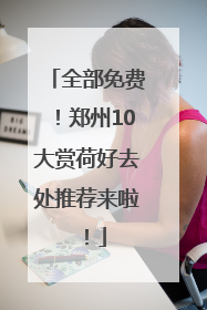全部免费！郑州10大赏荷好去处推荐来啦！
