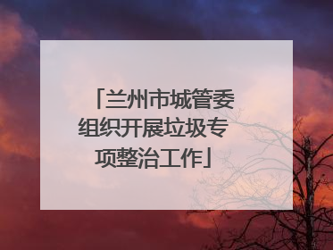 兰州市城管委组织开展垃圾专项整治工作