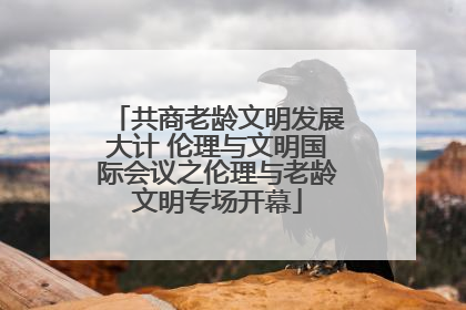 共商老龄文明发展大计 伦理与文明国际会议之伦理与老龄文明专场开幕