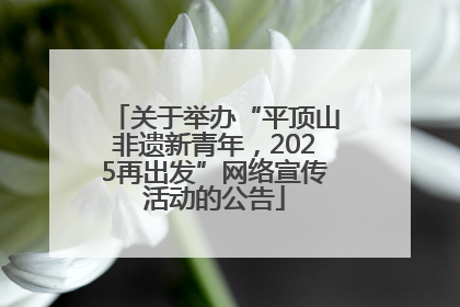 关于举办“平顶山非遗新青年，2025再出发”网络宣传活动的公告