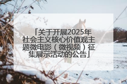 关于开展2025年社会主义核心价值观主题微电影（微视频）征集展示活动的公告