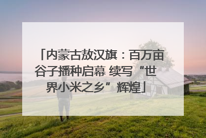 内蒙古敖汉旗：百万亩谷子播种启幕 续写“世界小米之乡”辉煌