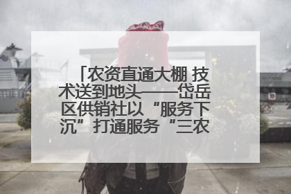 农资直通大棚 技术送到地头——岱岳区供销社以“服务下沉”打通服务“三农”最后一公里