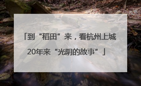 到“稻田”来，看杭州上城20年来“光阴的故事”