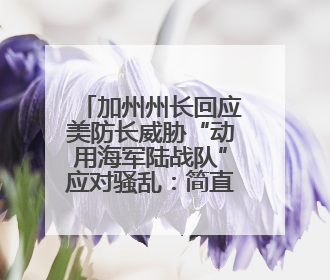 加州州长回应美防长威胁“动用海军陆战队”应对骚乱：简直是疯了