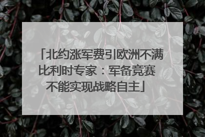北约涨军费引欧洲不满 比利时专家：军备竞赛不能实现战略自主