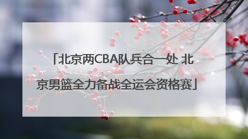 北京两CBA队兵合一处 北京男篮全力备战全运会资格赛