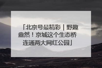 北京号最精彩｜野趣盎然！京城这个生态桥连通两大网红公园