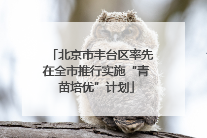 北京市丰台区率先在全市推行实施“青苗培优”计划