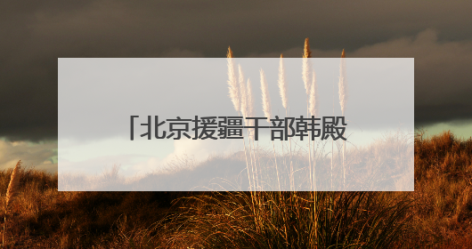 北京援疆干部韩殿臣：京情暖和田