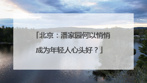 北京：潘家园何以悄悄成为年轻人心头好？