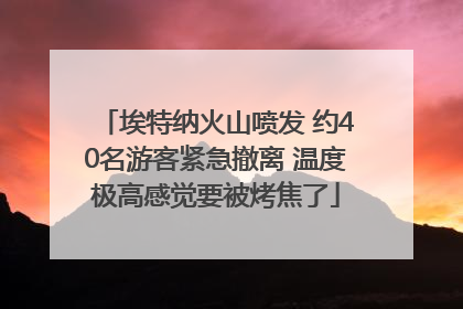 埃特纳火山喷发 约40名游客紧急撤离 温度极高感觉要被烤焦了